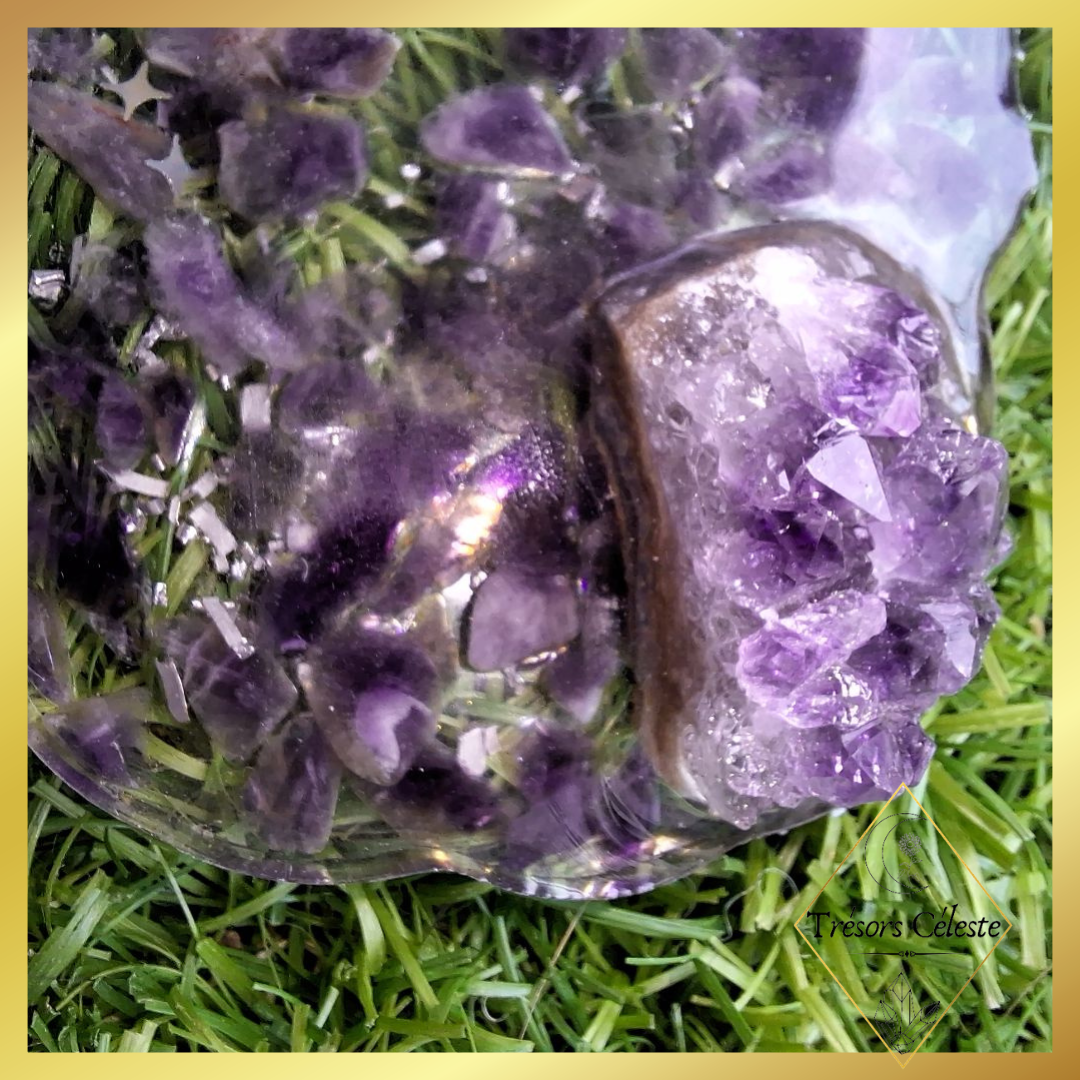Plateau Amethyste / Arbre de vie