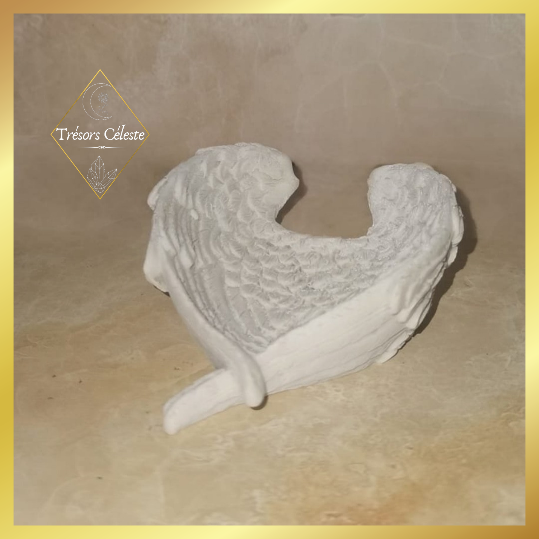 Vide-poche "Ailes d'ange"