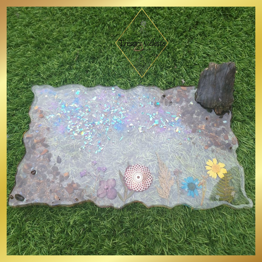 Plateau avec une Labradorite brut et oeil de tigre