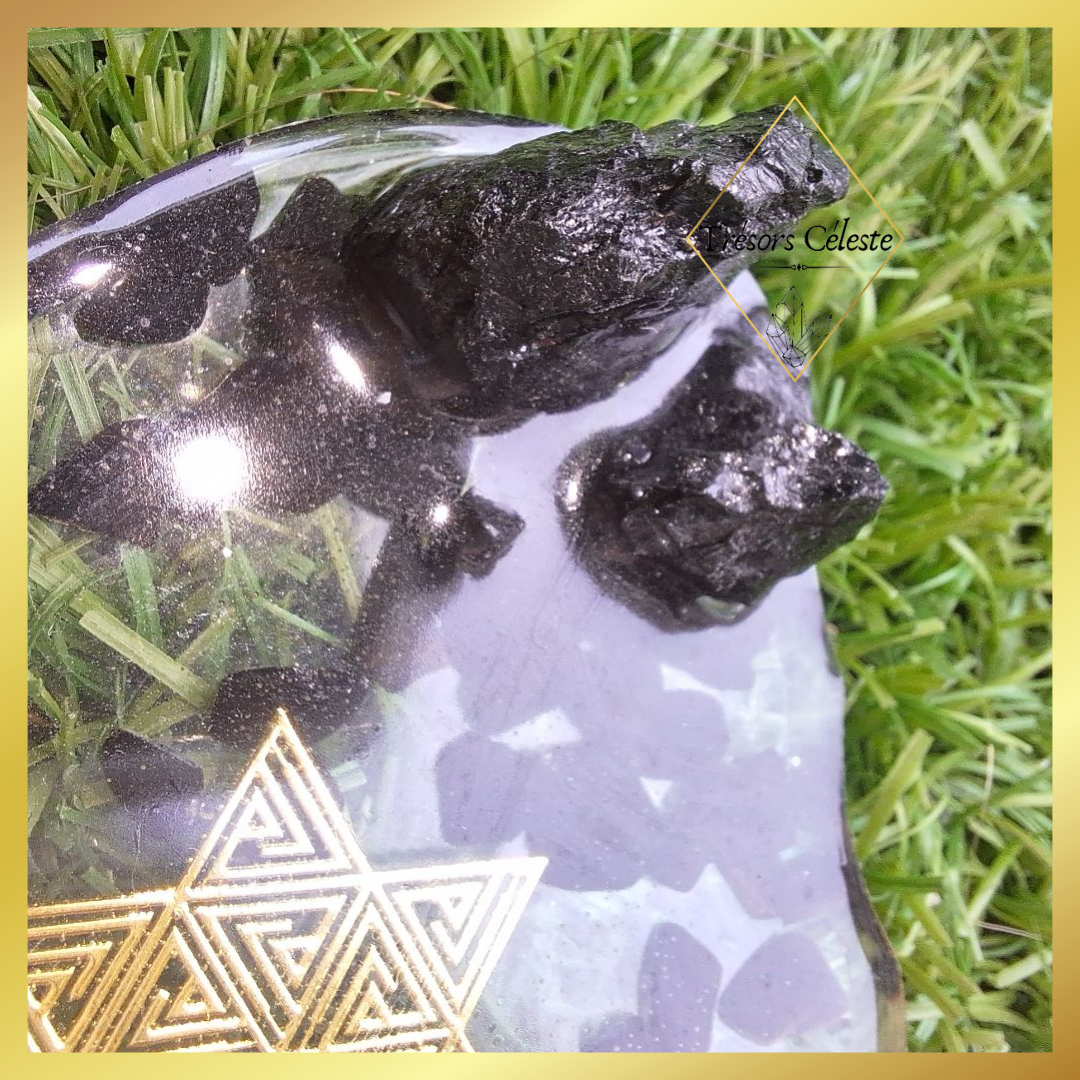 Plateau Tourmaline / Merkaba